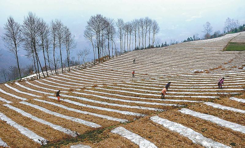 首页| 尊龙·Z6(中国集团)官方网站