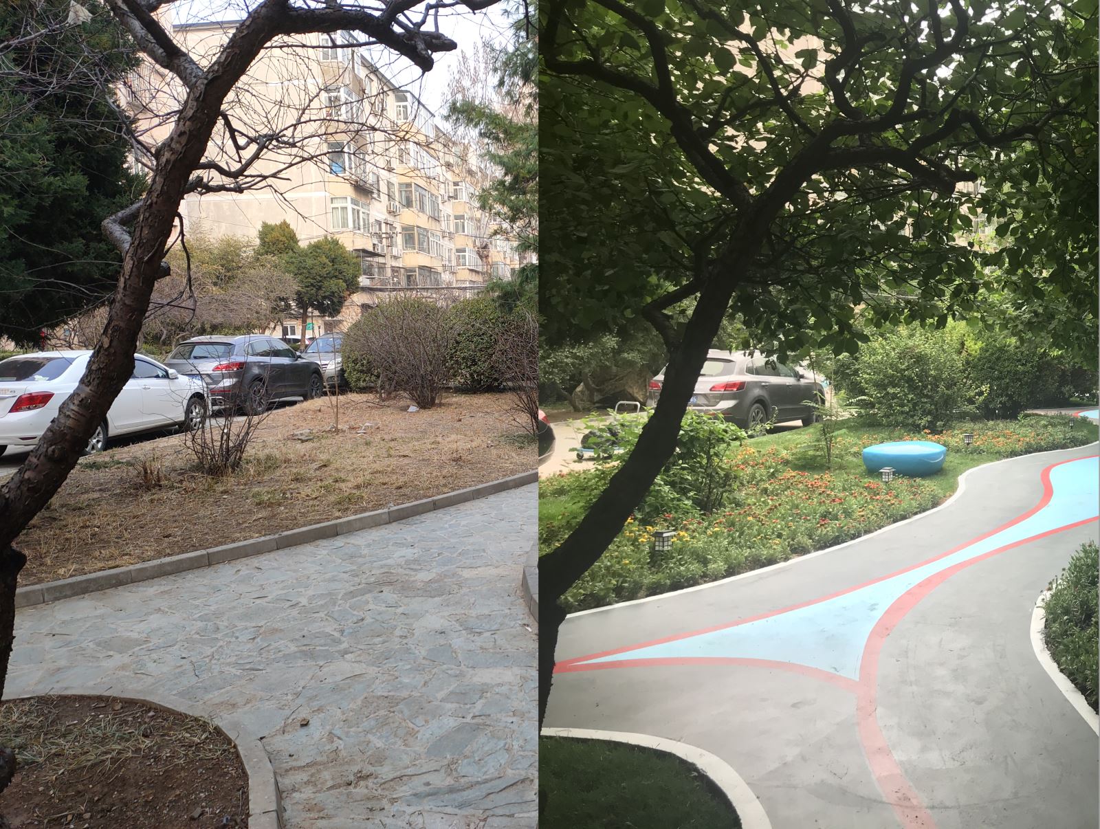 首页| 尊龙·Z6(中国集团)官方网站